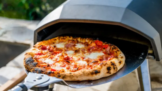 A selection of top-rated indoor and outdoor pizza ovens for 2025, including wood-fired, gas, and electric models.