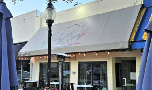 sarasota best pizza