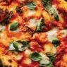 Chicken Avocado Pizza